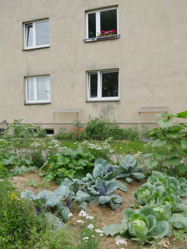 Gemeinschaft Neudorf